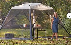 Portable Airbnb\2024 Dutchman Coleman Lantern 17B