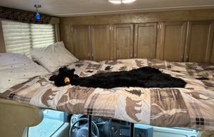 'Rosie' 2017 Gulf Stream RV Conquest Class C 6238