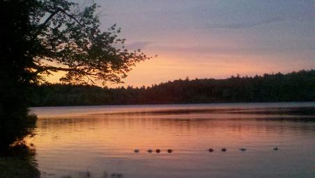 Terrace Pines Campground