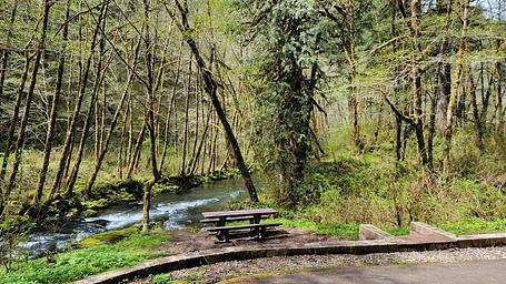 view of river at campsite 2 in Fan Creek Campground