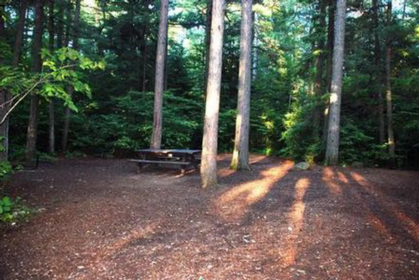 Sawbill Lake Campground - Superior National Forest