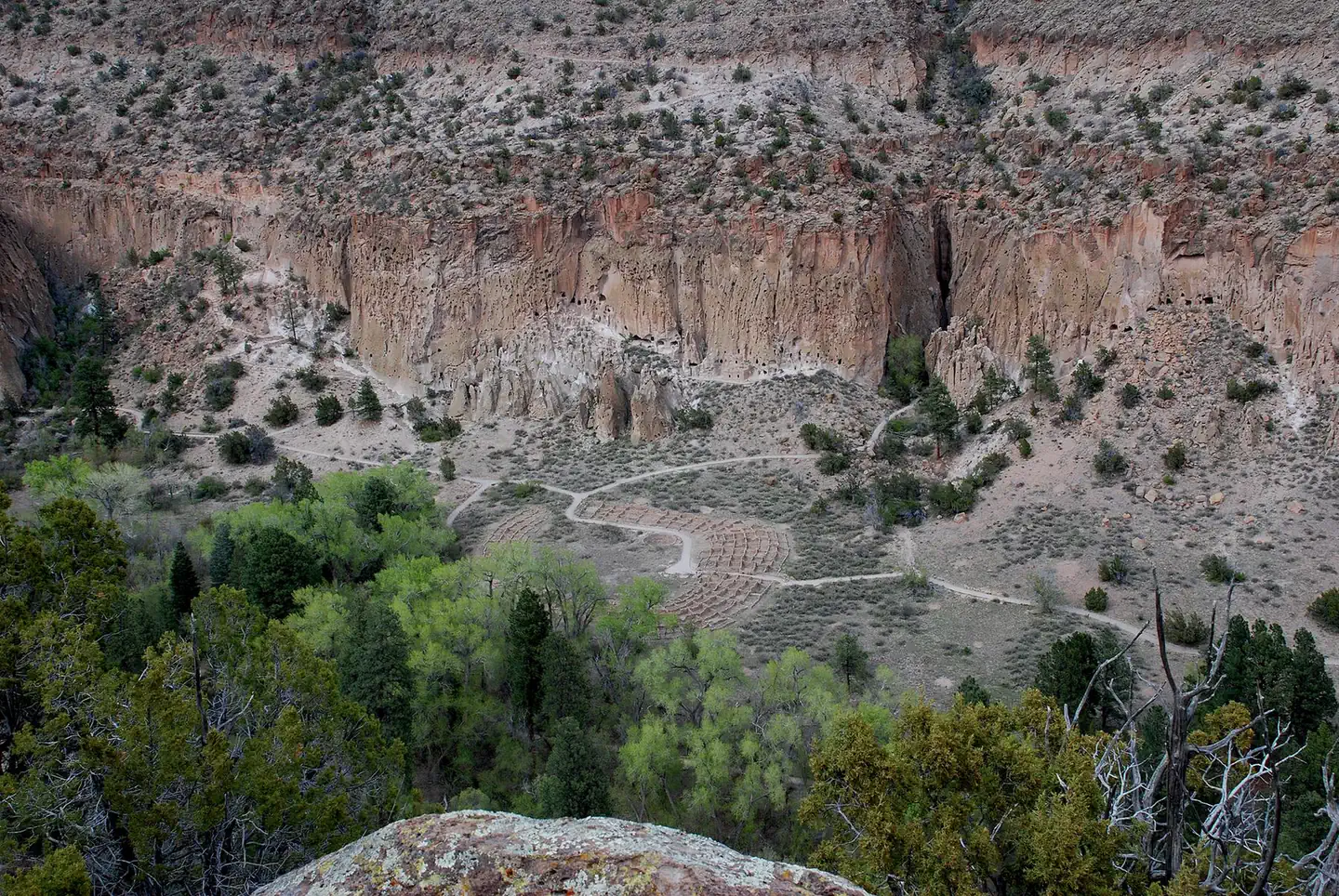 Juniper Campground (NM)
