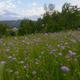 Campspot slideshow image 4