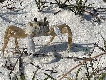 Gulf Islands National Seashore 