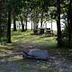 Anderson Road Campground Primitive Campsite
