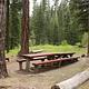 Double-long picnic table in open pine forest with a green, tree ringed glade in the background.