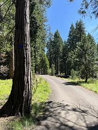 Road into Campground