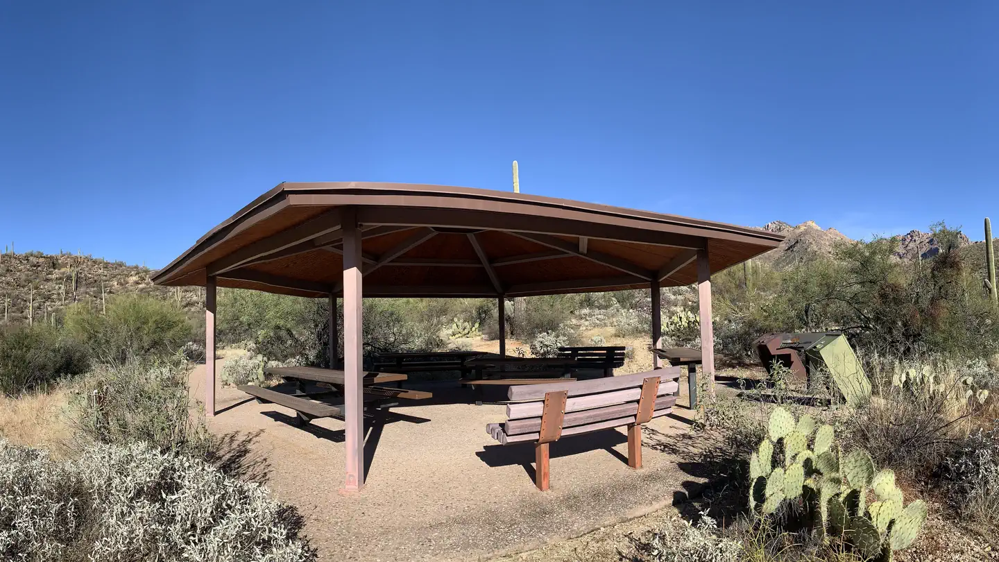Sabino Canyon Recreation Area Cactus Ramada 2