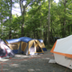 Several tents pitched together on a shaded gravel tent site under tall trees