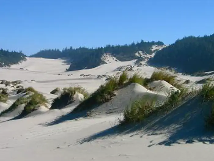 Umpqua Sand Camping