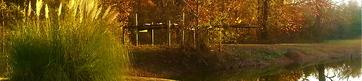 Belaire RV Park