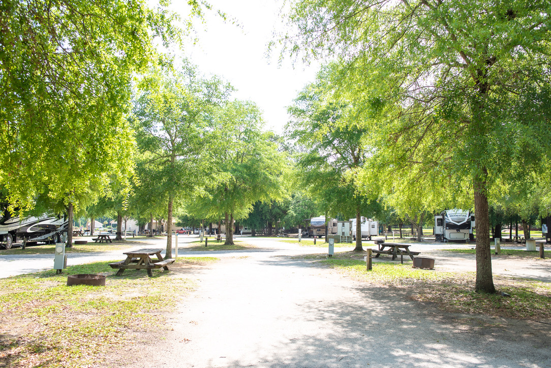 Palmetto Shores RV Resort