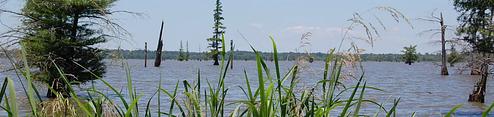 Cottonshed Park (AR)