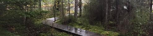 Twin Lakes (WI)