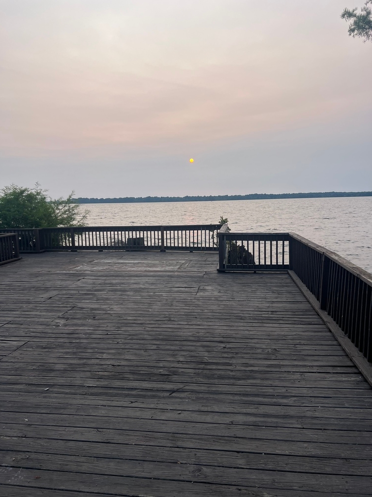 The Duck Veil LLC, Hornbeak, Tennessee, USA