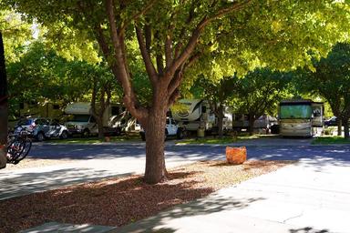 Campground image 3
