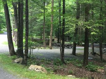 Ledgedale Recreation Area