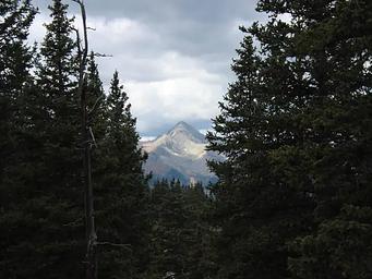 Grand Mesa, Uncompahgre, Gunnison National Forest