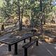 Group Picnic Area