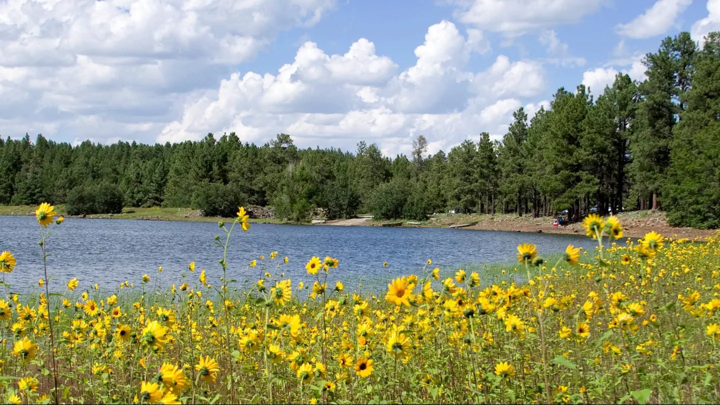Dogtown Lake Campground and Group