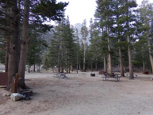 G01, Loop: PALISADES GROUP CAMPGROUND