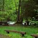 MCKENZIE BRIDGE