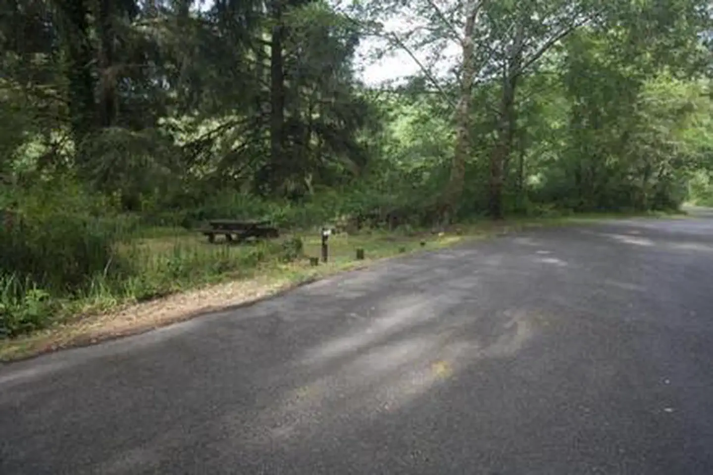 Tyee Campground - Oregon Dunes