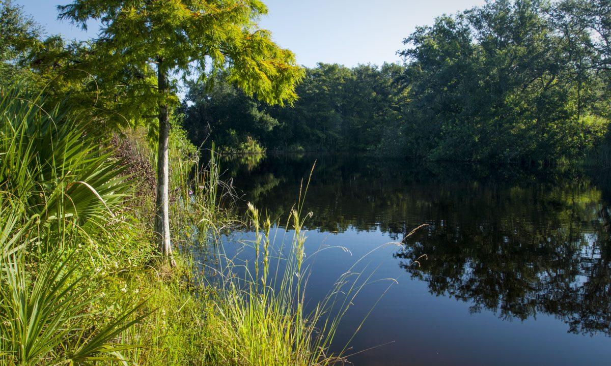 Fort Drum Marsh Conservation Area Site 3 Hike-In SJRWMD