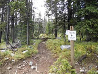 Mcguire Mtn. Lookout Rental