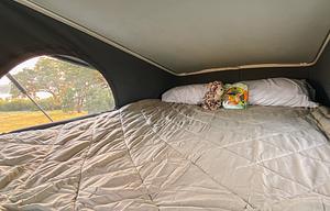 Solis 59PX: Perfect for Families - Full Amenities