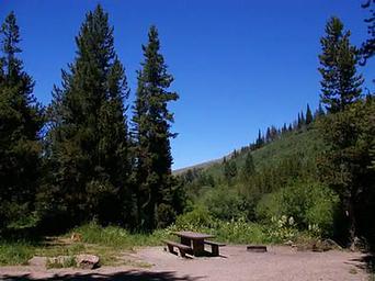 LOWER PENSTEMON CAMPSITE 2