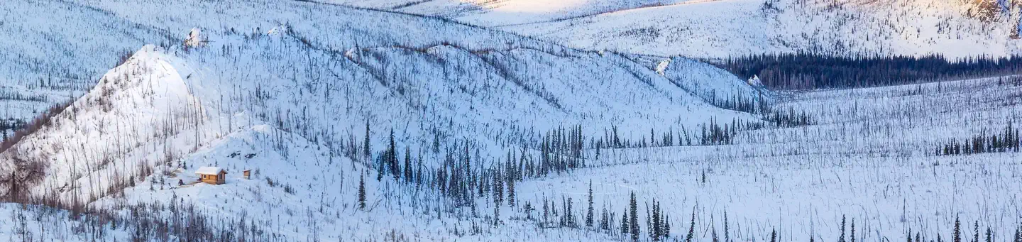 White Mountains National Recreation Area - Alaska Cabins