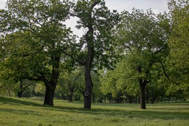 Camp Creek Park