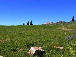 Thompson Flat