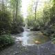 COVE CREEK LOWER GROUP 