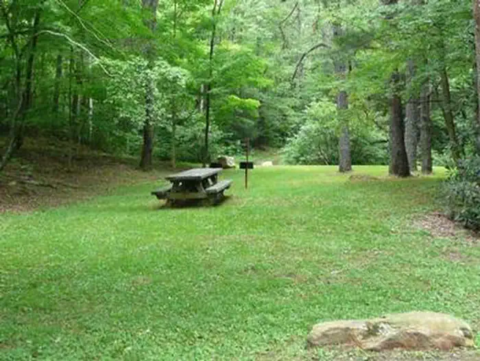 Raccoon Branch Campground