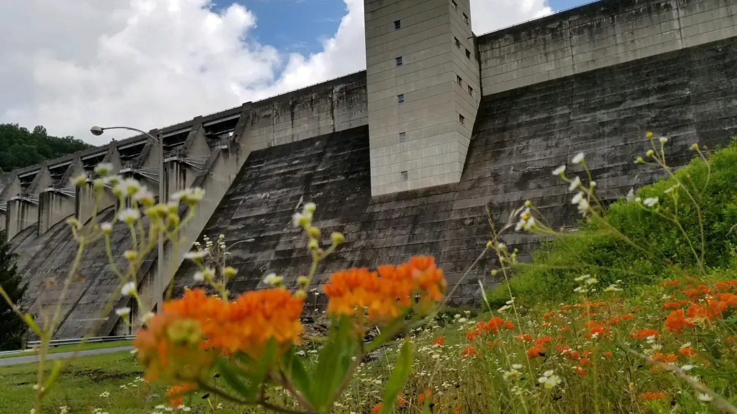 Sutton Lake Picnic Shelters