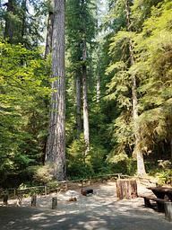 Yellowbottom Recreation Site