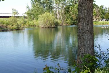 Camp Turkeyville RV Resort