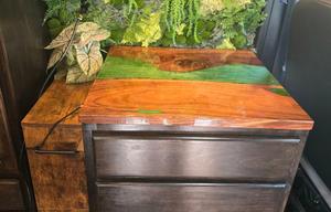 Enchanted Forest Sanctuary on Wheels