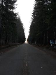 Swift Forest - Managed by American Land & Leisure