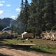 Landscape-oriented shot of the camp showing multiple tents, smoke from a central area, and surrounding forested hills — conveys setting and onsite activity.