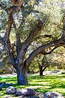 Paradise Campground