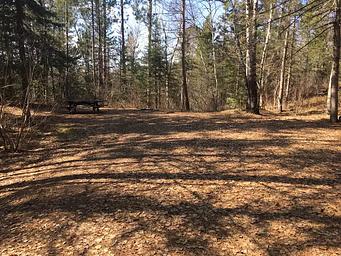 Campsite in the spring