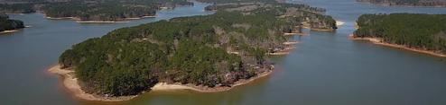Piney Grove