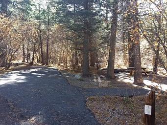 Black Canyon Campground (Santa Fe National Forest, NM)