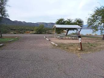 Windy Hill Campground Coyote 291