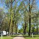 Covered Wagon Camp Resort