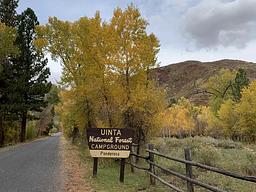 Ponderosa Uinta