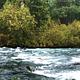 Rapids on the Metolius River